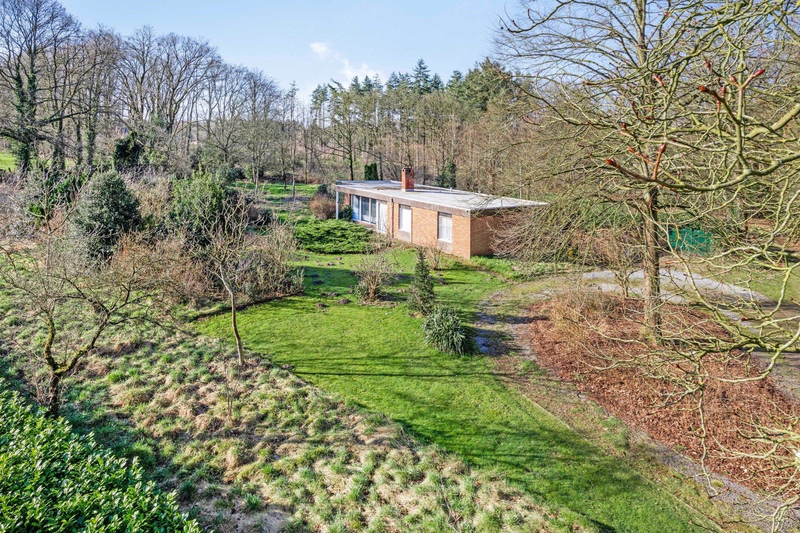 Unieke woonst op 620 are: rust, natuur en eindeloze mogelijkheden! foto 3