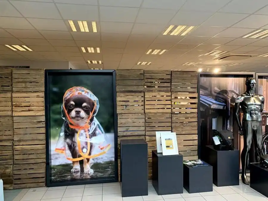 Zandvoortstraat 21, 2800 Mechelen foto 7