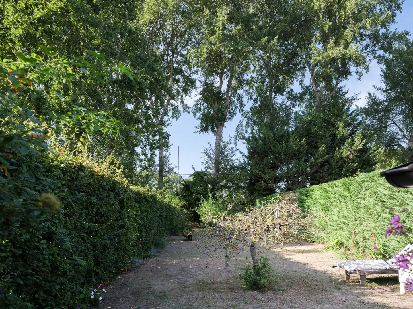 Instapklare woning met overvloedig licht en prachtige tuin foto 5
