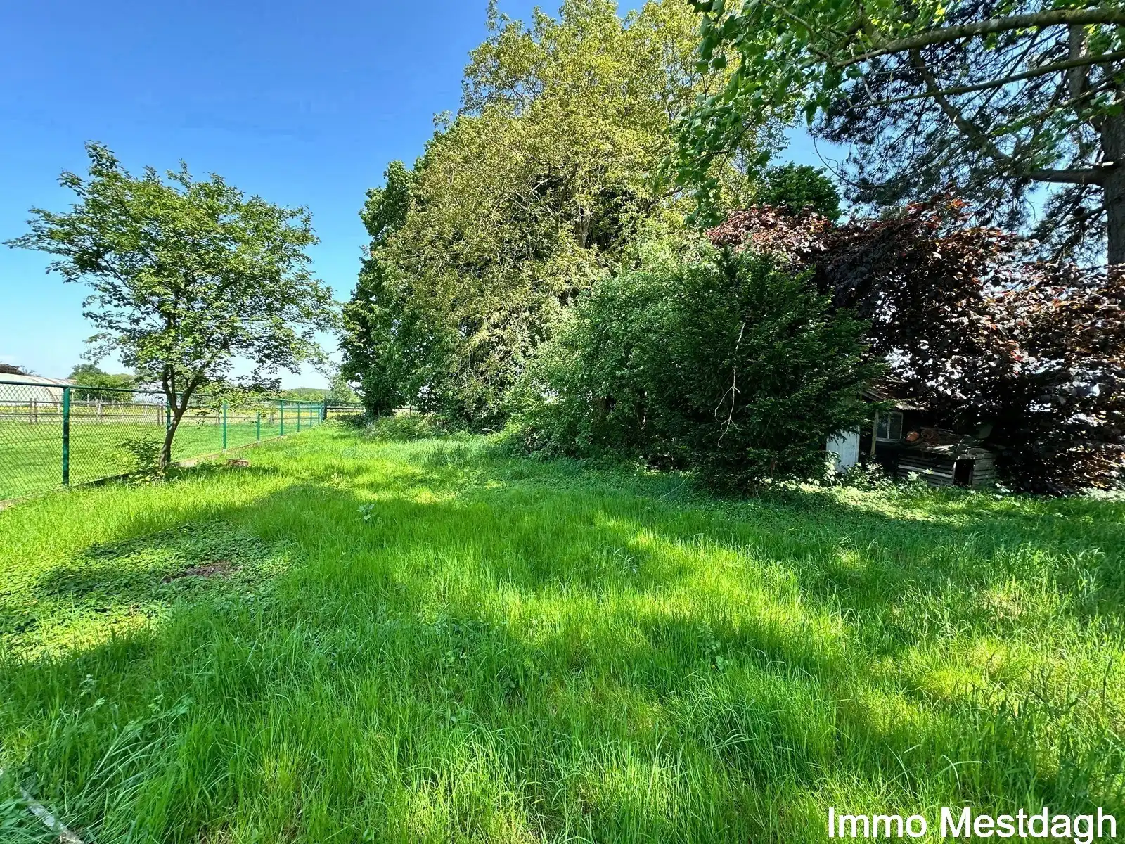 Ruime woning met potentieel op +12a in Geetbets foto 9