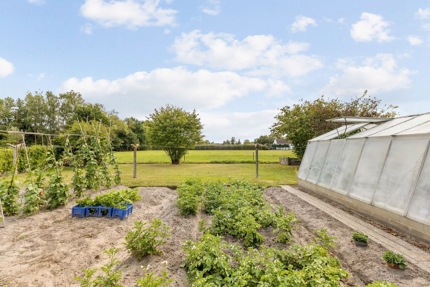 Perfect onderhouden woning met 4 Slpkrs op 1469m2 met zicht op de velden foto 25