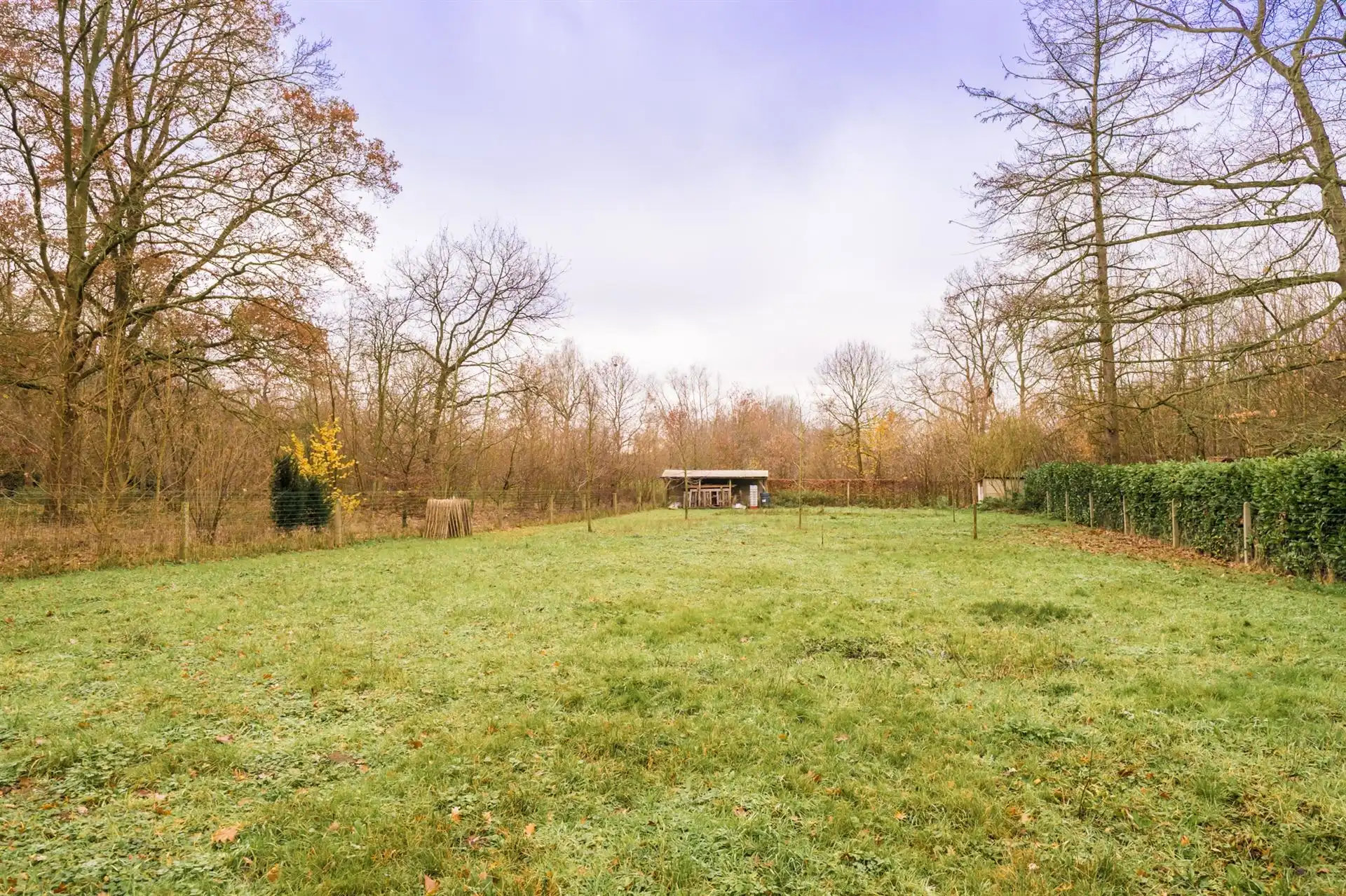 Ruime gezinswoning op perceel van 2.491m² in Mechelen-Zuid foto 22