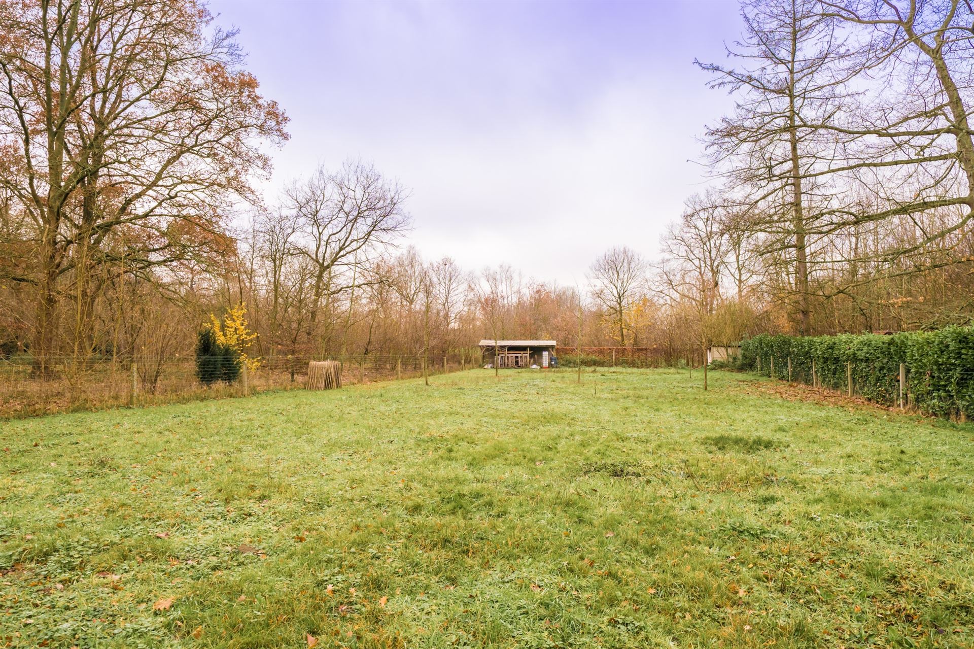 Ruime gezinswoning op perceel van 2.491m² in Mechelen-Zuid foto 22