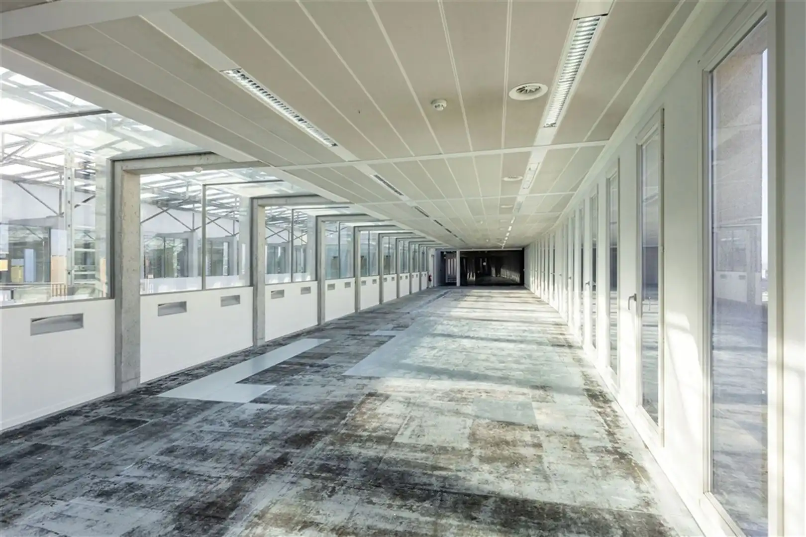 Rue de la Chancellerie: vanaf 1.070m² tot 1.565m² foto 4