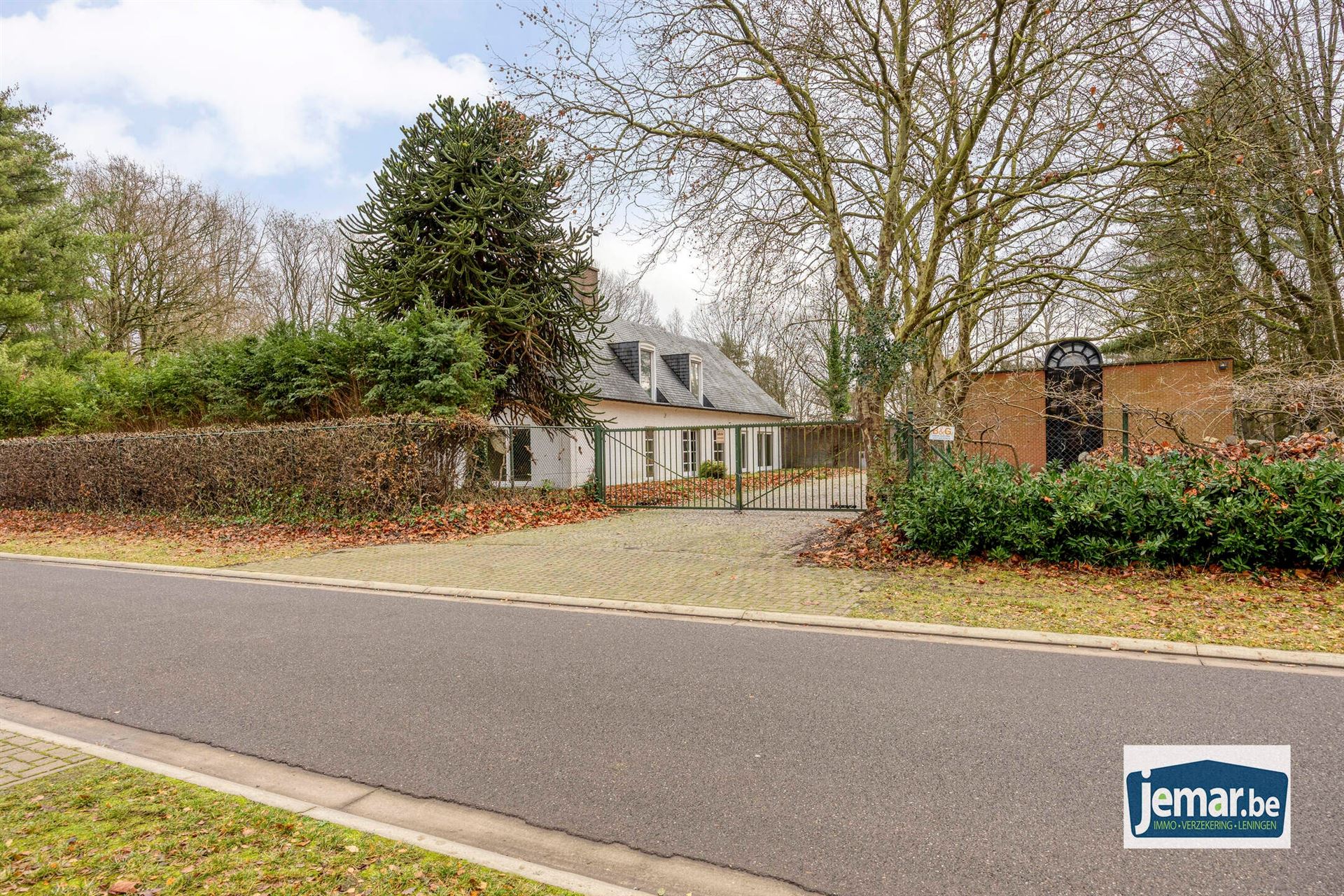 Villa met professionele opslagruimte, kelder en kantoorruimtes. foto 6