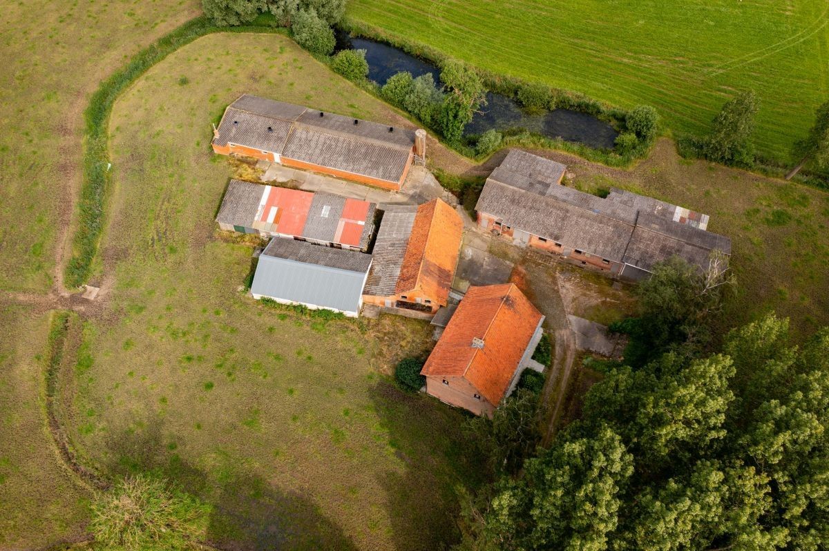 Centraal gelegen hoeve te koop te Kruibeke (Bazel) op circa 1 ha foto 12