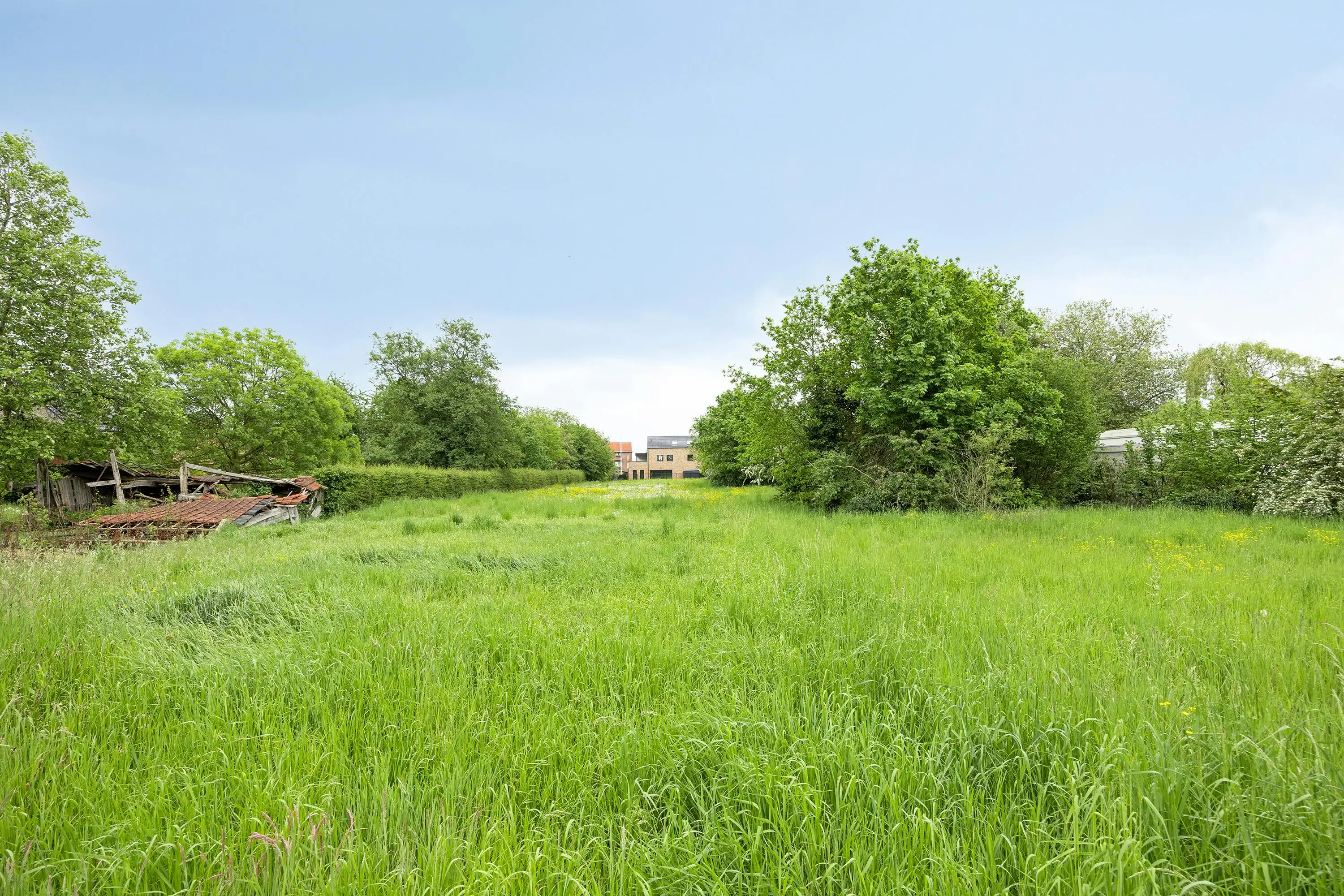 Bouwgrond te koop: OB of project in Rotem (22a 35ca) foto 4