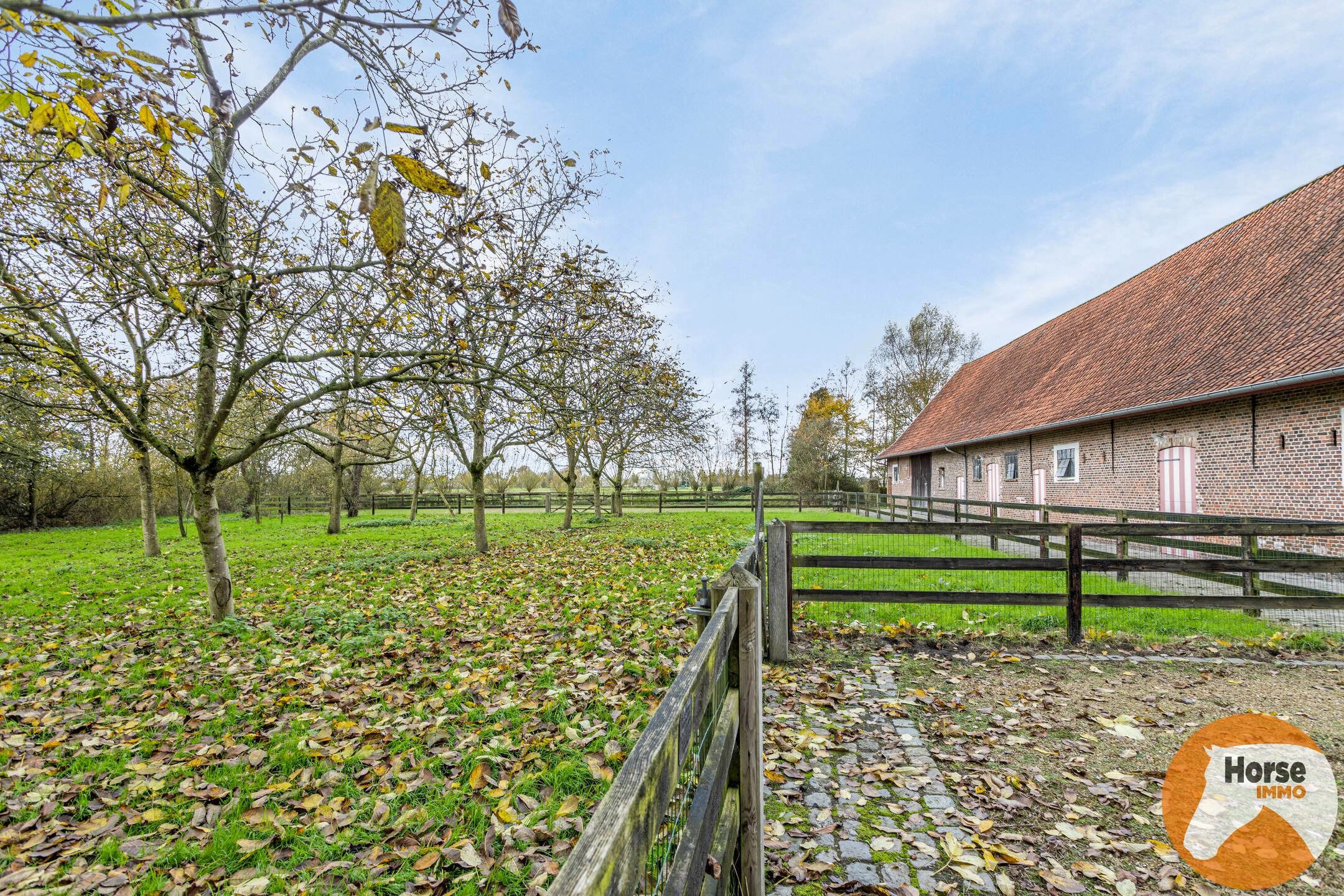 BEERVELDE - Prachtige hoeve met twee authentieke bijgebouwen foto 51