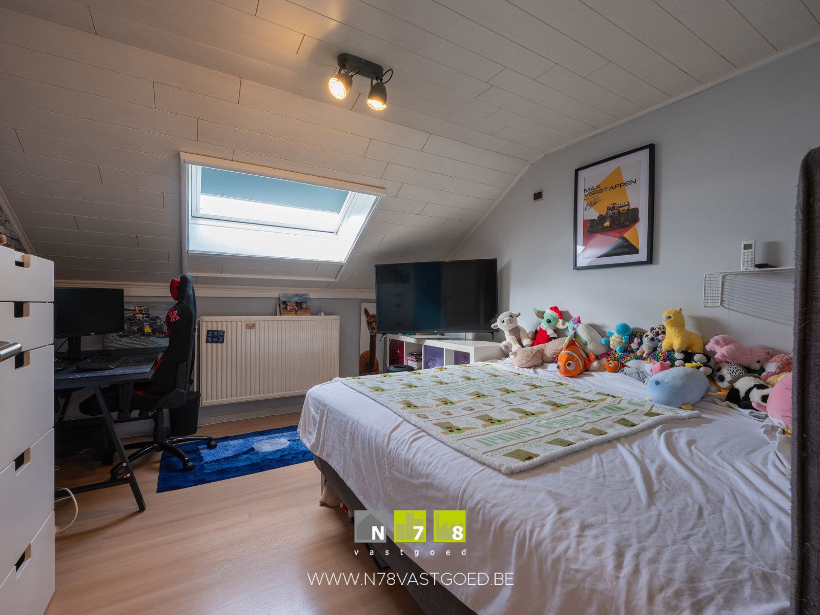 Huis te koop foto 20
