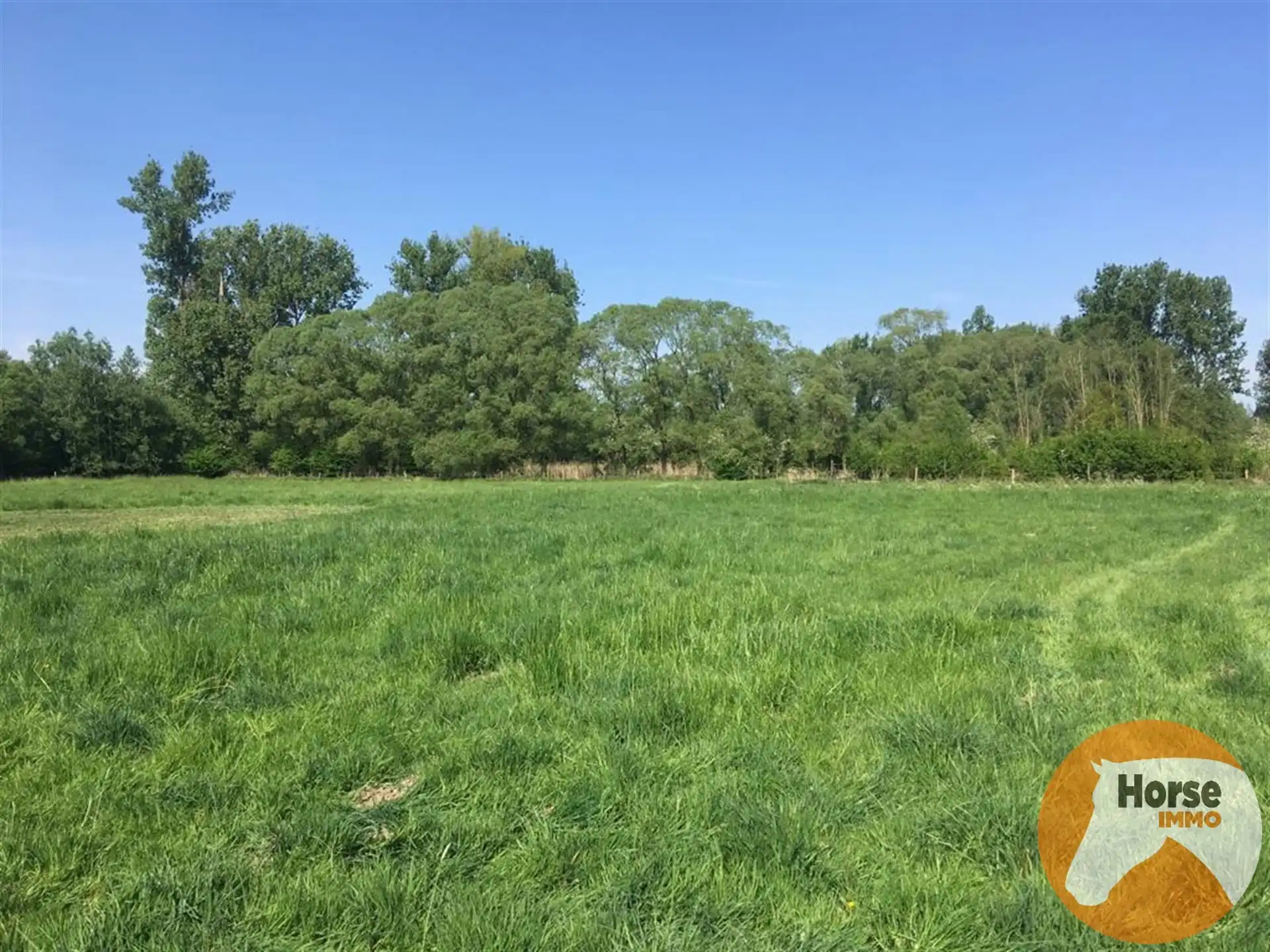 DENDERLEEUW - Weide van 1,6 HA. foto {{pictureIndex}}