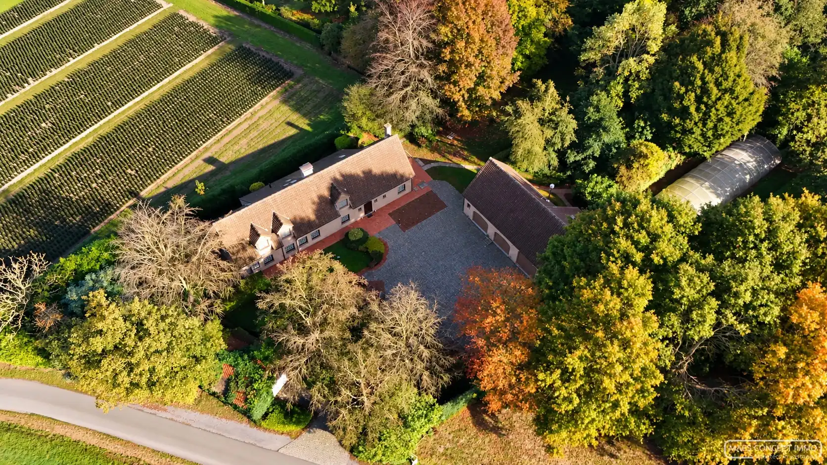 Hoeve met bijgebouw te koop in Anzegem – omringd door 1,6 hectare groen foto 2