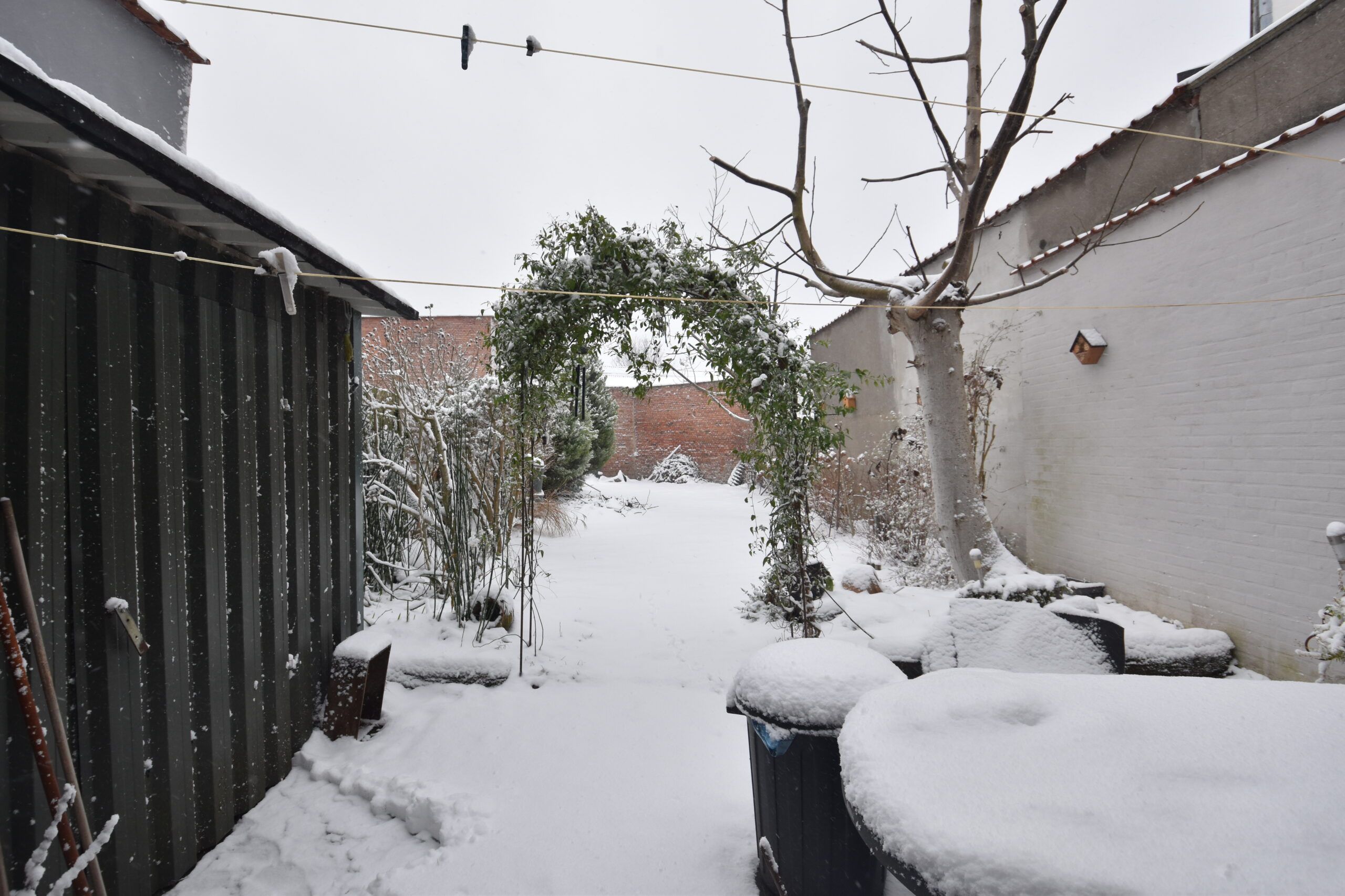 Aangename woning in de geliefde Elisabethwijk foto 3