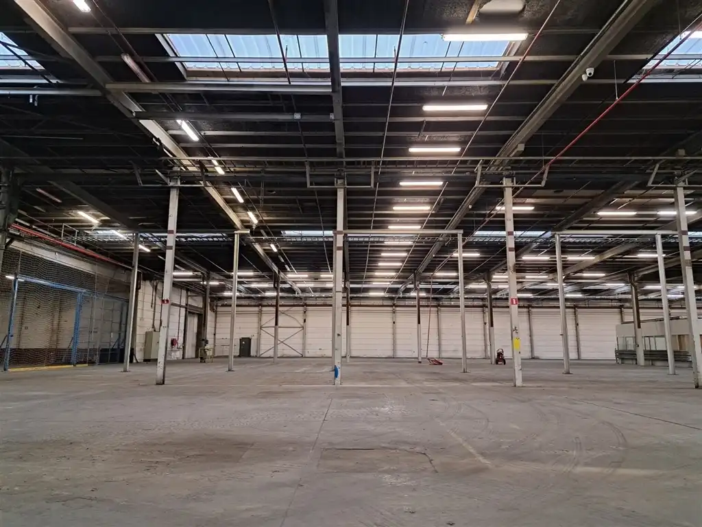 NEDERZWIJNAARDE 2 ZWIJNAARDE foto 4