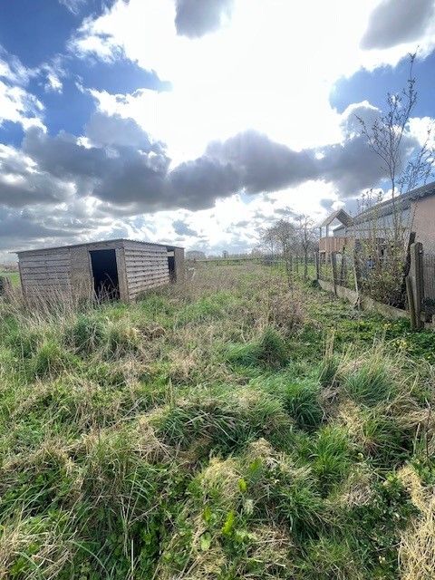 PRACHTIG LOT BOUWGROND VAN 1057M² IN HARTJE KOEKELARE foto 5