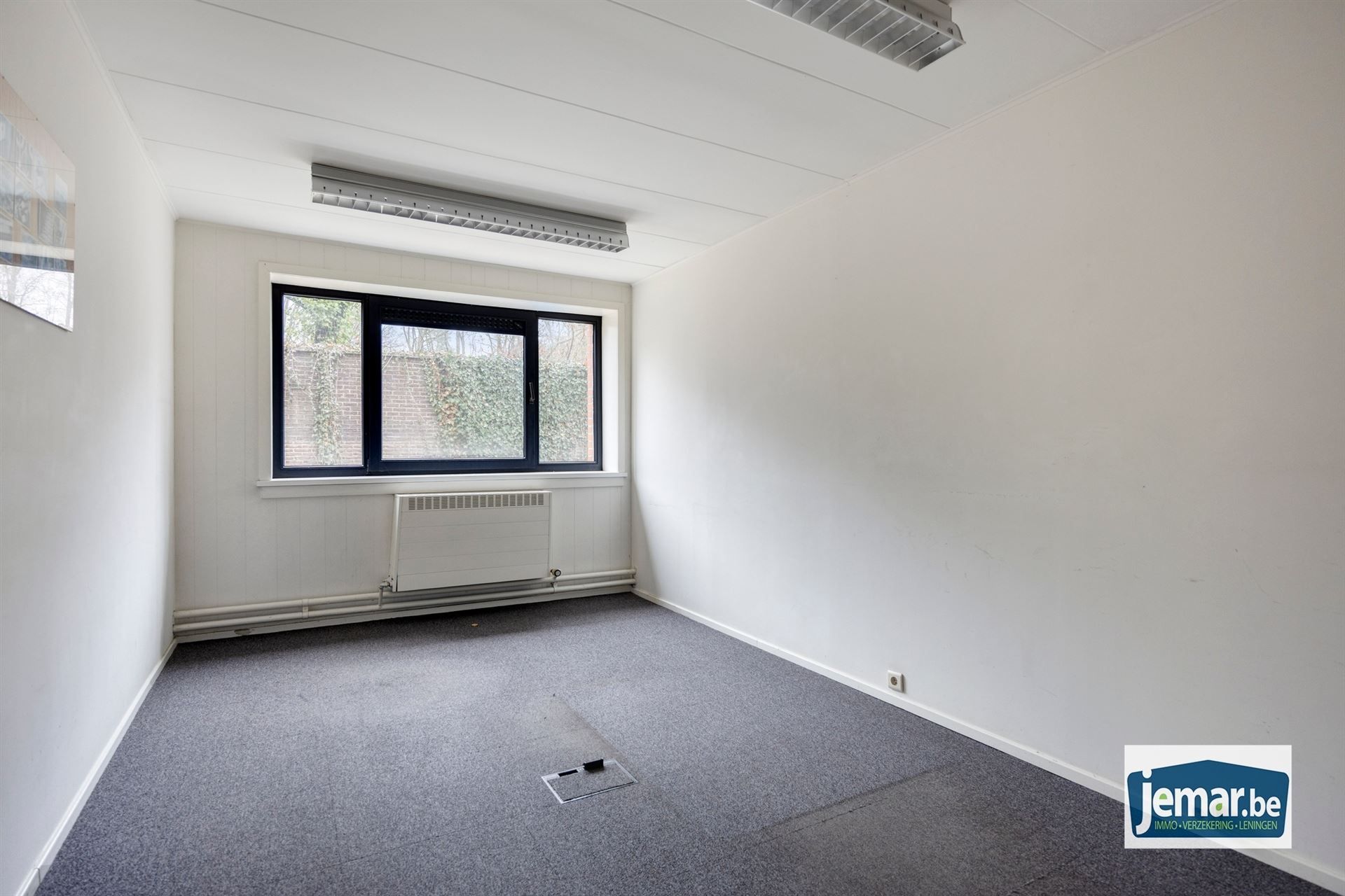 Villa met professionele opslagruimte, kelder en kantoorruimtes. foto 83