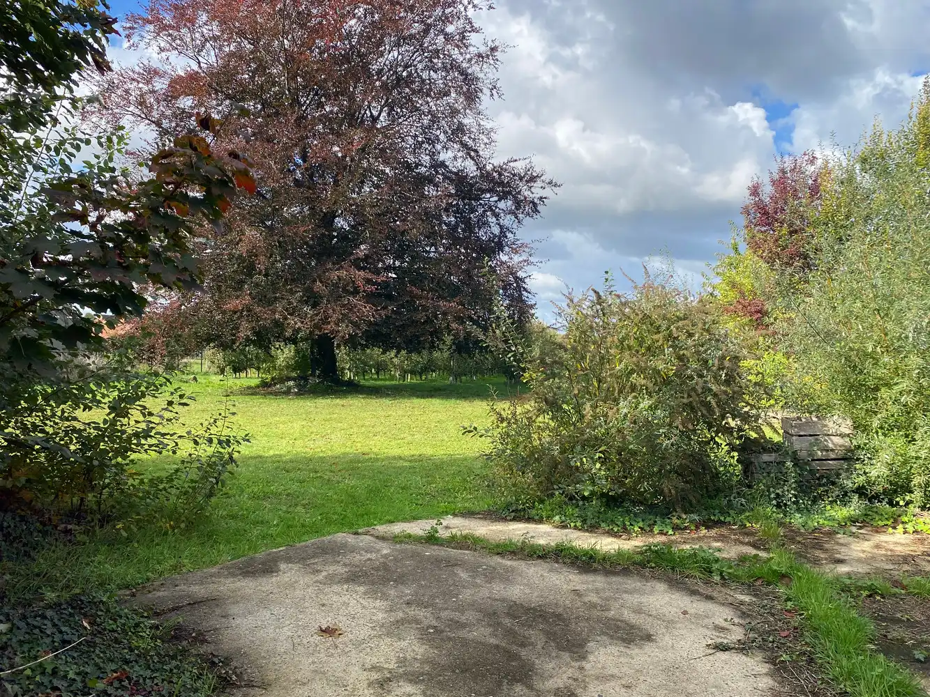 Uitzonderlijke villa op een ruim perceel foto 15