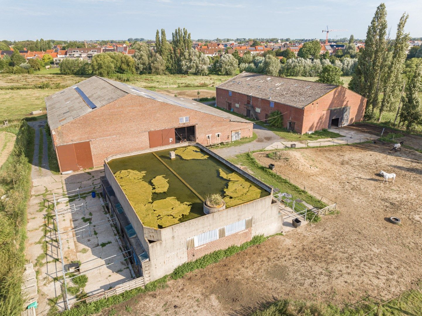 Uitzonderlijk vastgoed tussen Heulebeek en Leie op 4ha te koop in Kuurne foto 5