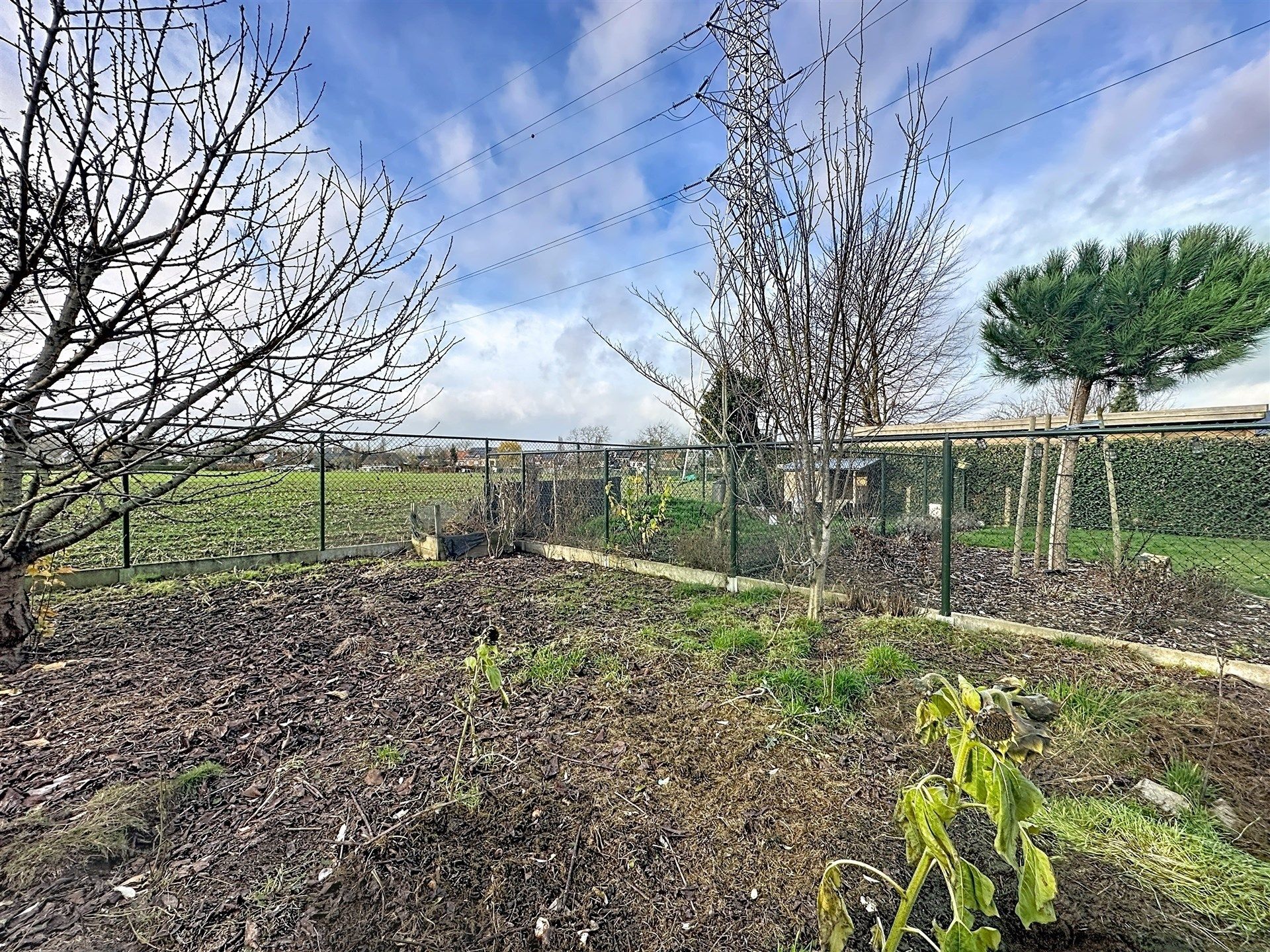 Prachtige woning met 4 slaapkamers in Bazel op perceel van 560m² foto 17