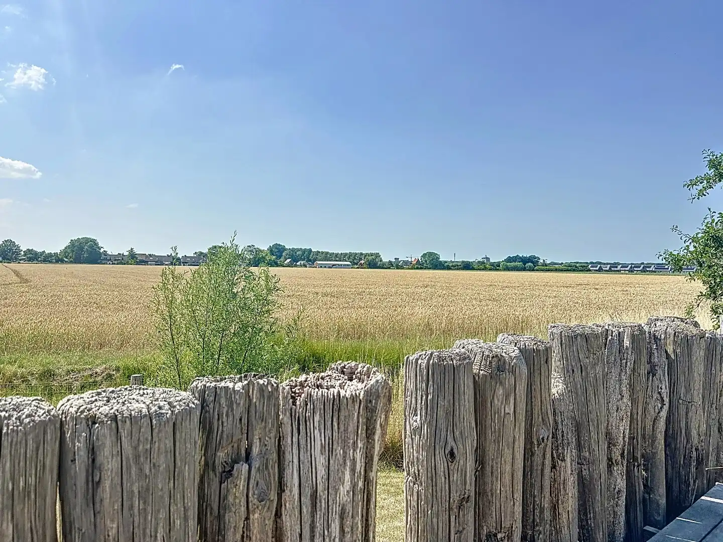 Exclusieve dijkwoning met eigen guesthouse foto 48