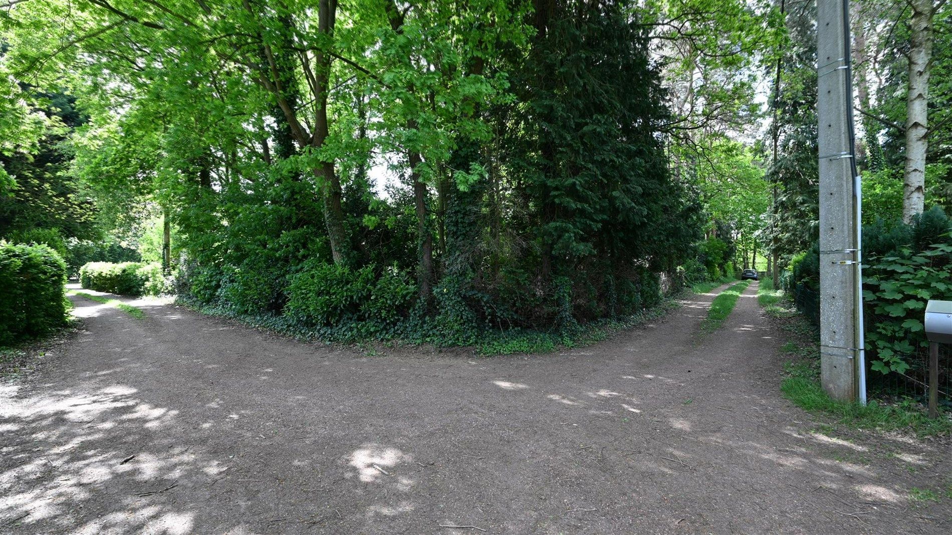 Rustig gelegen, bebost perceel van 1.740 m² – ideaal voor jouw droomwoning of tiny house foto 3