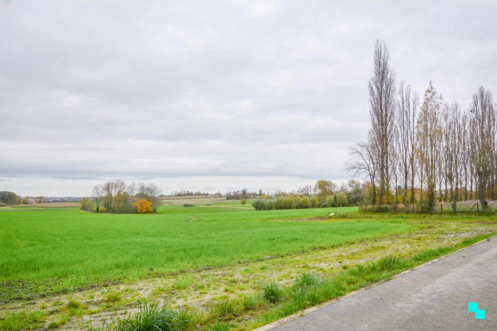 Landelijk gelegen nieuwbouw villa te Zonnebeke foto 2