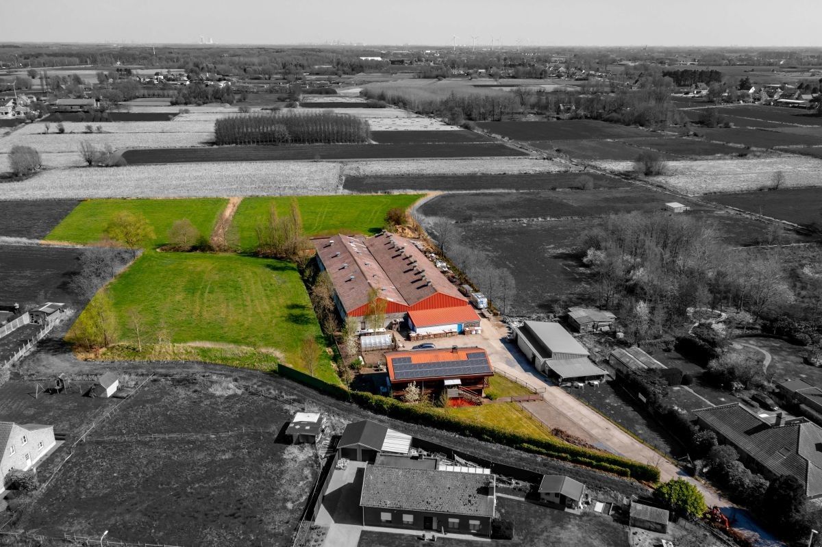 Hoeve met woning, ruime stallen en aanpalende grond te koop te Stekene. foto 3