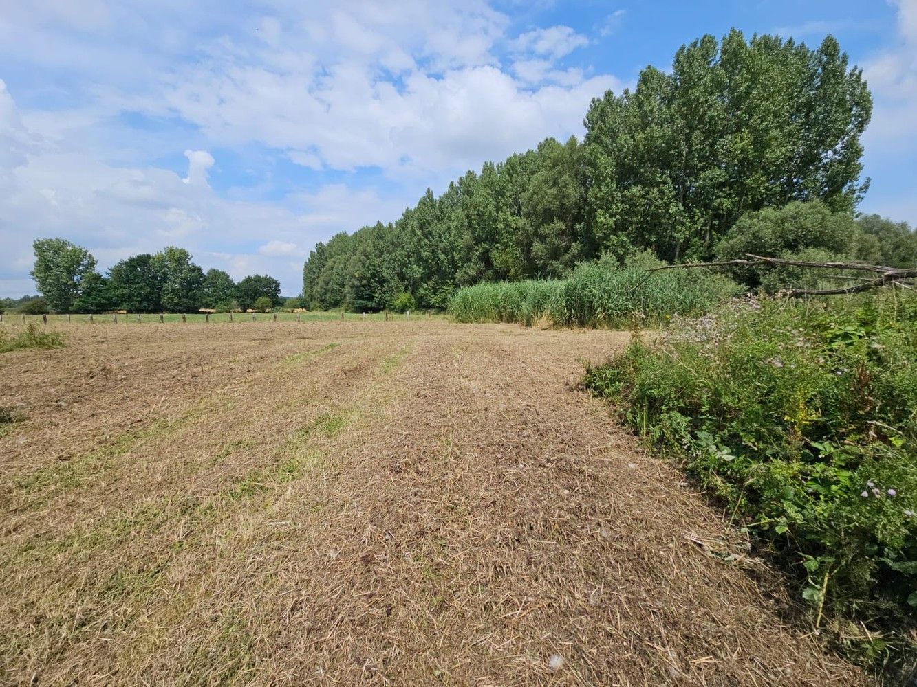 Prachtig gelegen, verder te vernieuwen landgebouw (omg. Congoberg) foto 14