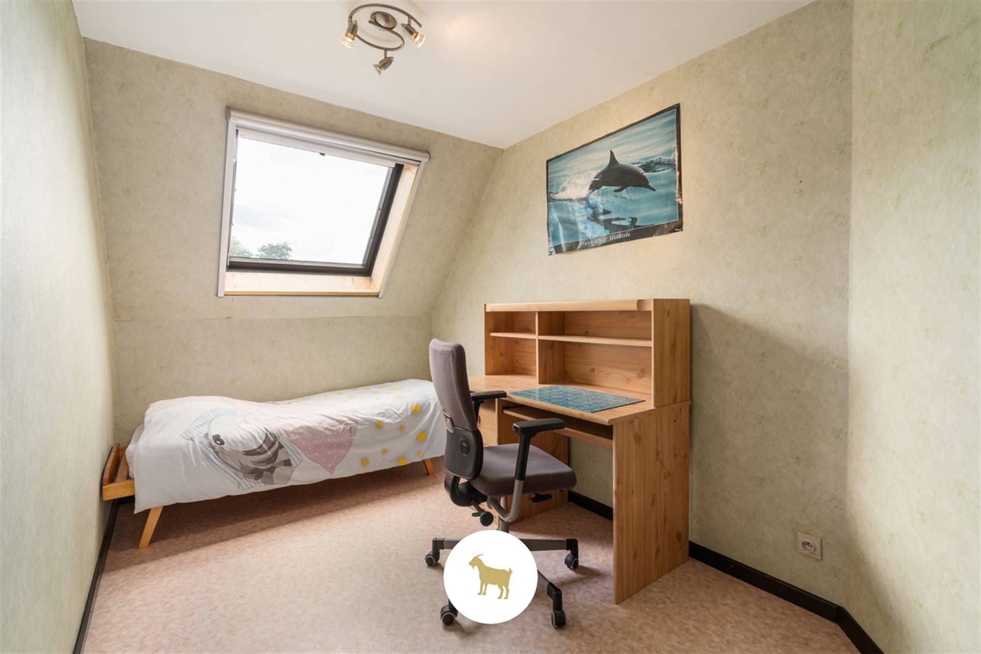 Te renoveren ALLEENSTAANDE WONING met 4 SLAAPKAMERS en GARAGE op een PERCEEL van 648m² foto 16