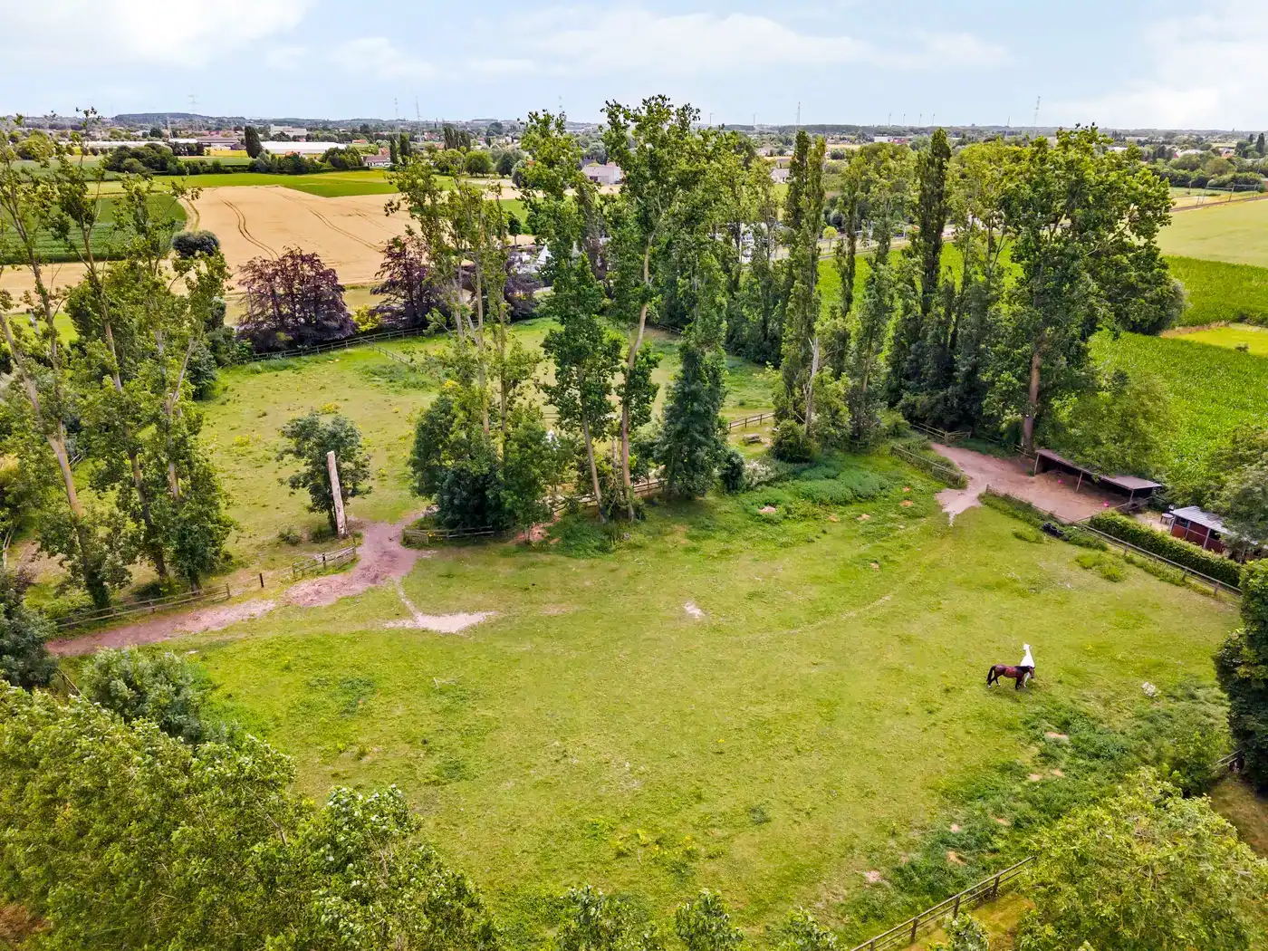 Exclusieve landelijke villa met paardenaccommodatie op ca 1,6ha foto 31