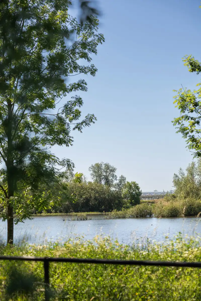 State-of-the-art Villa met resortallure, 800m2 woonbeleving foto 25