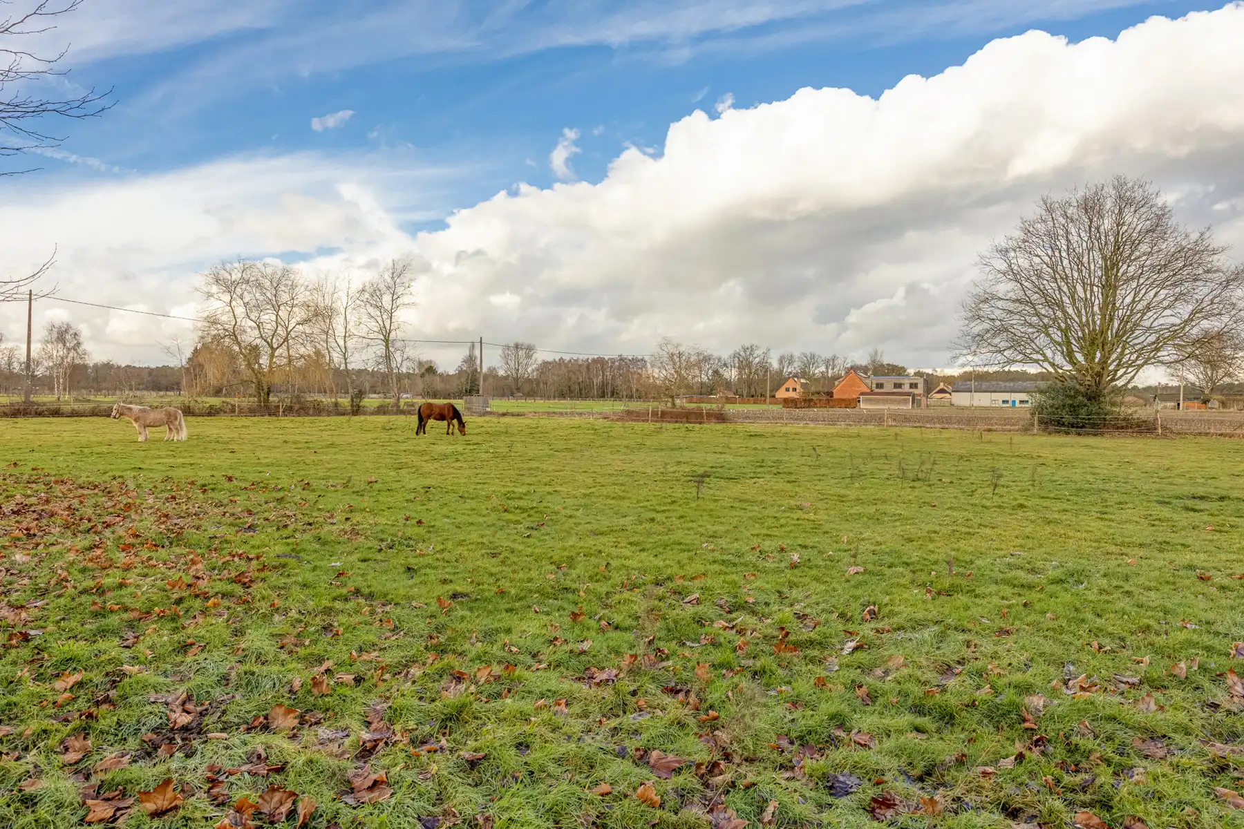 Gerenoveerde hoeve met weiland en stallen op ca. 11 000 m²  foto 28