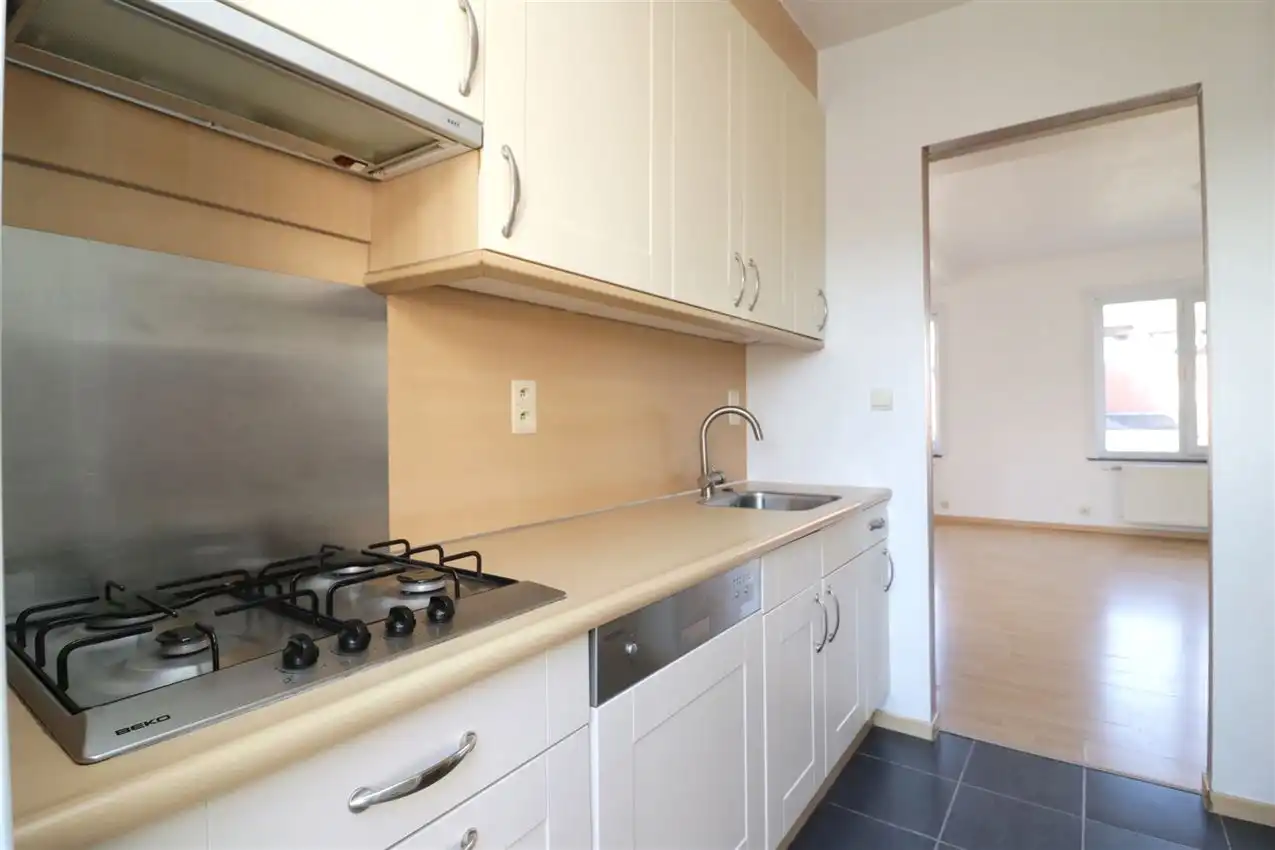 charmant, ruim, mogelijkheid beroep of kangoeroe foto 38