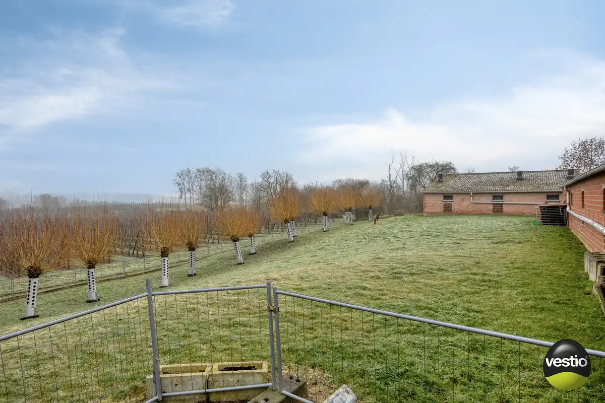 VIERKANTSHOEVE MET 4 BIJHORENDE VARKENSSTALLEN TE SINT-HUIBRECHTS-HERN op 65A79CA. foto 4