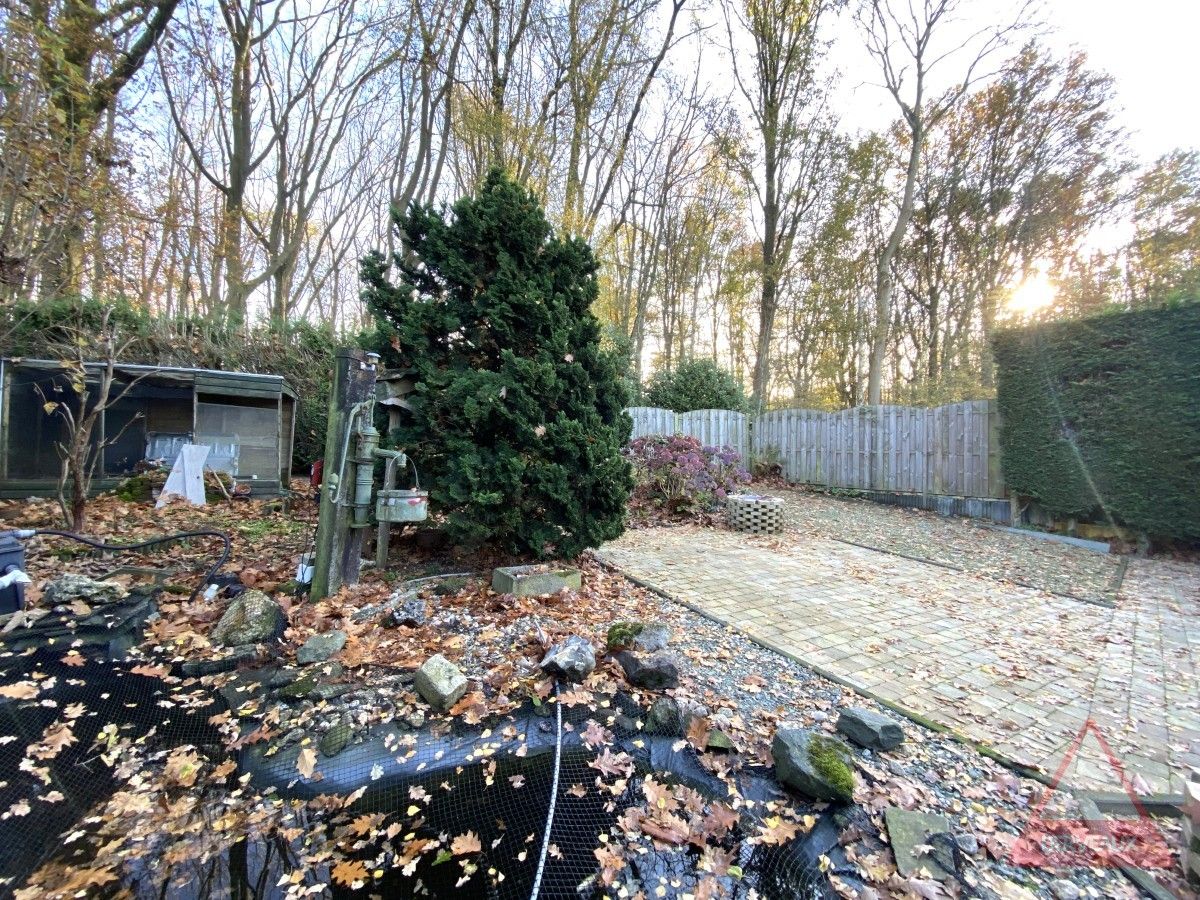 Zonnebeke – Charmante chalet in bosrijke omgeving foto 12