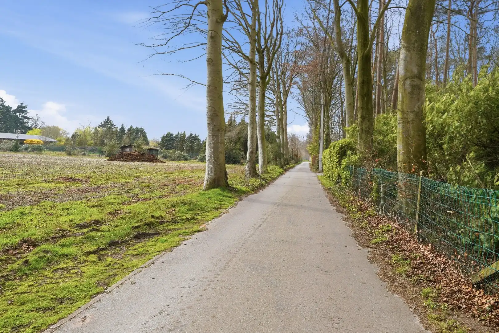 Alleenstaande bungalow op prachtige ligging in het groen foto 19