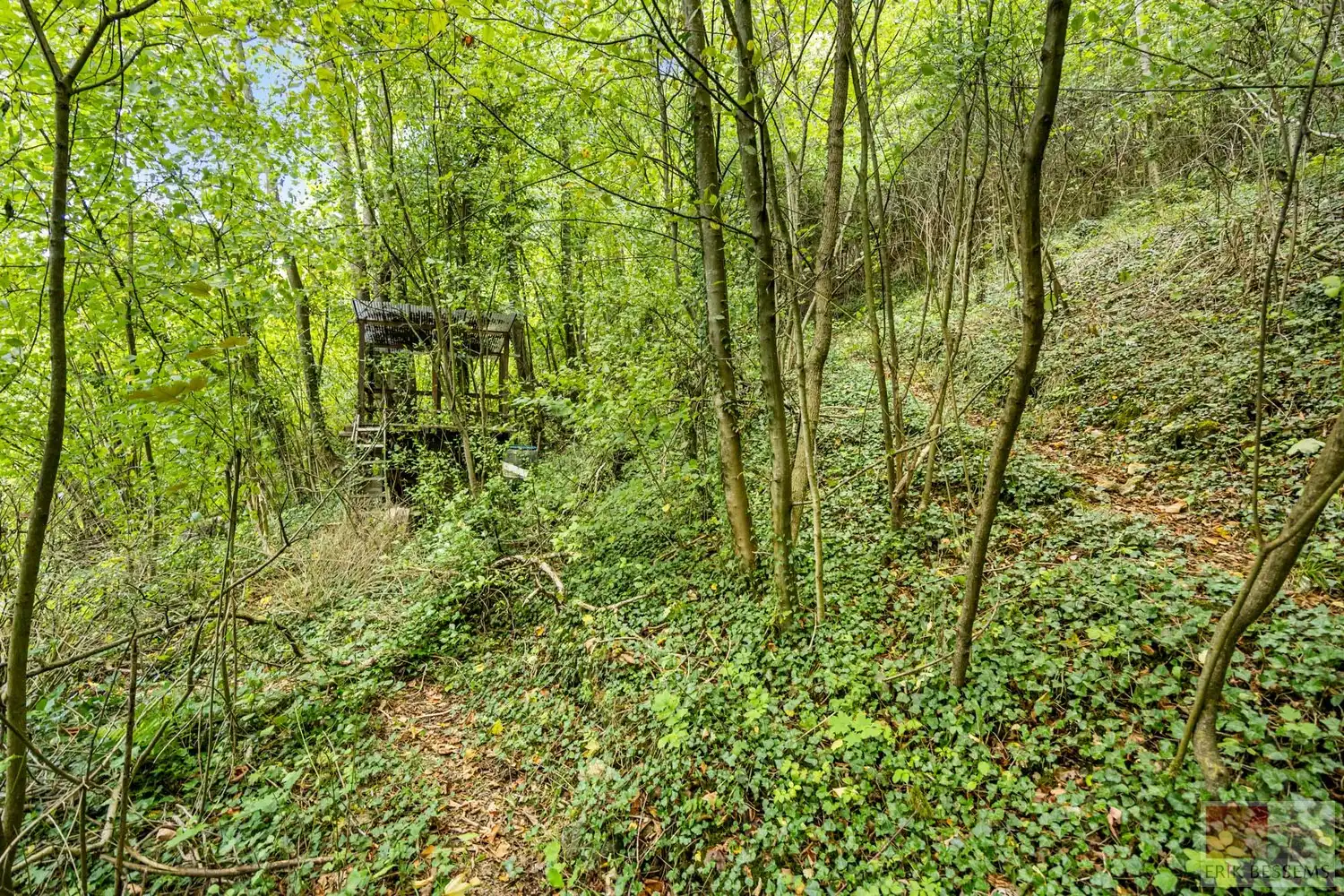 Uitzonderlijke boswoning foto 23