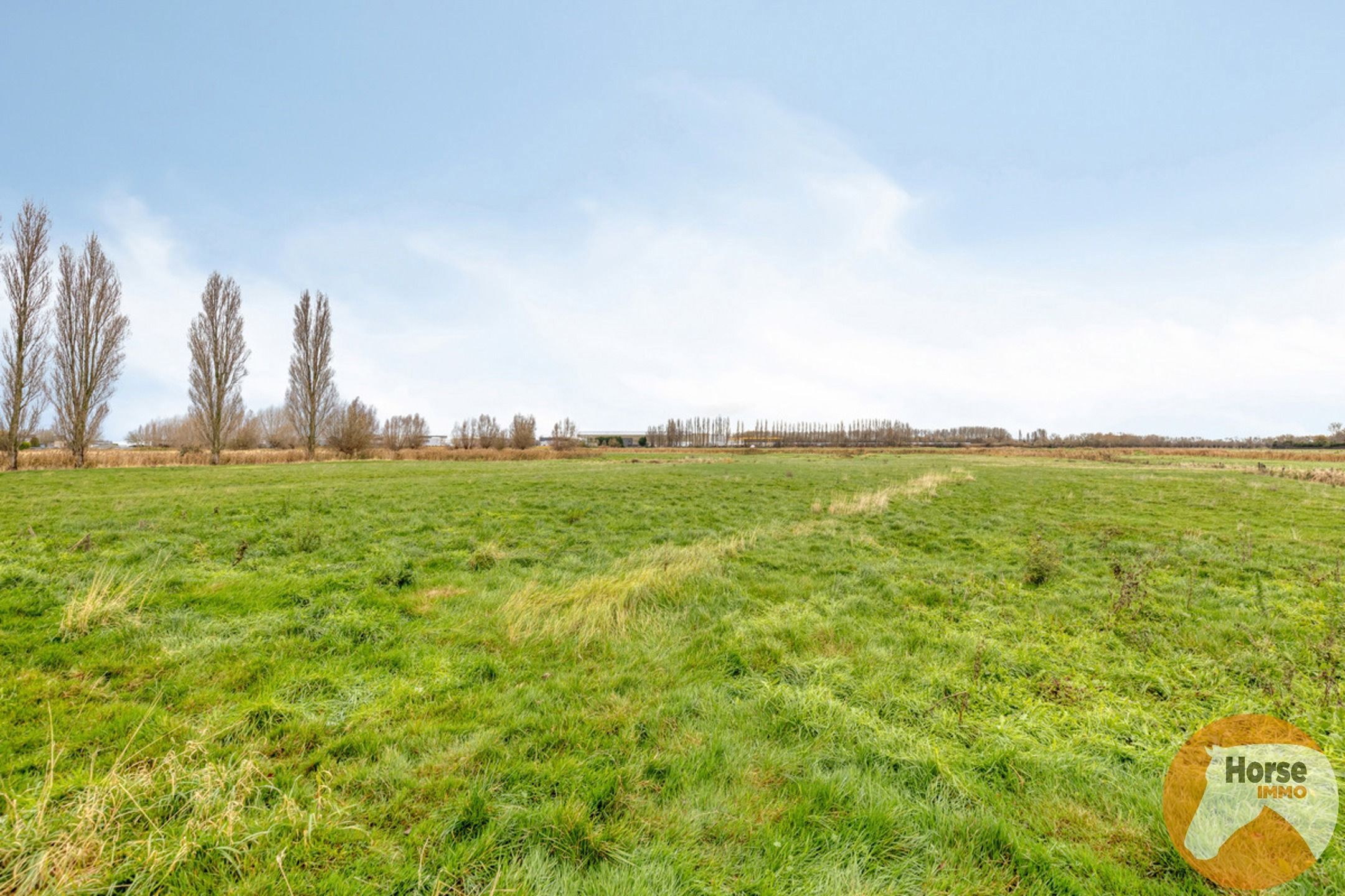 OUDENBURG - Herenhoeve op 3Ha foto 15