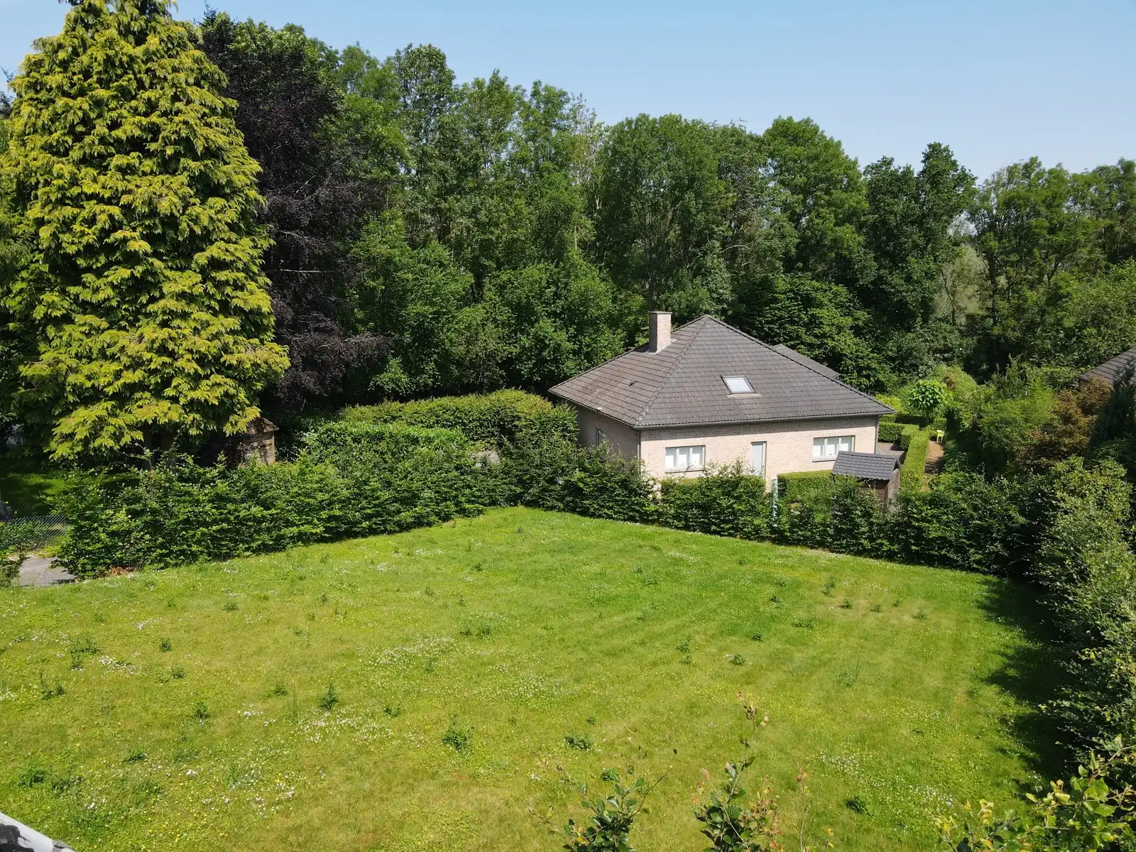Gerenoveerde woning met 3 slpks op 9 are foto 8