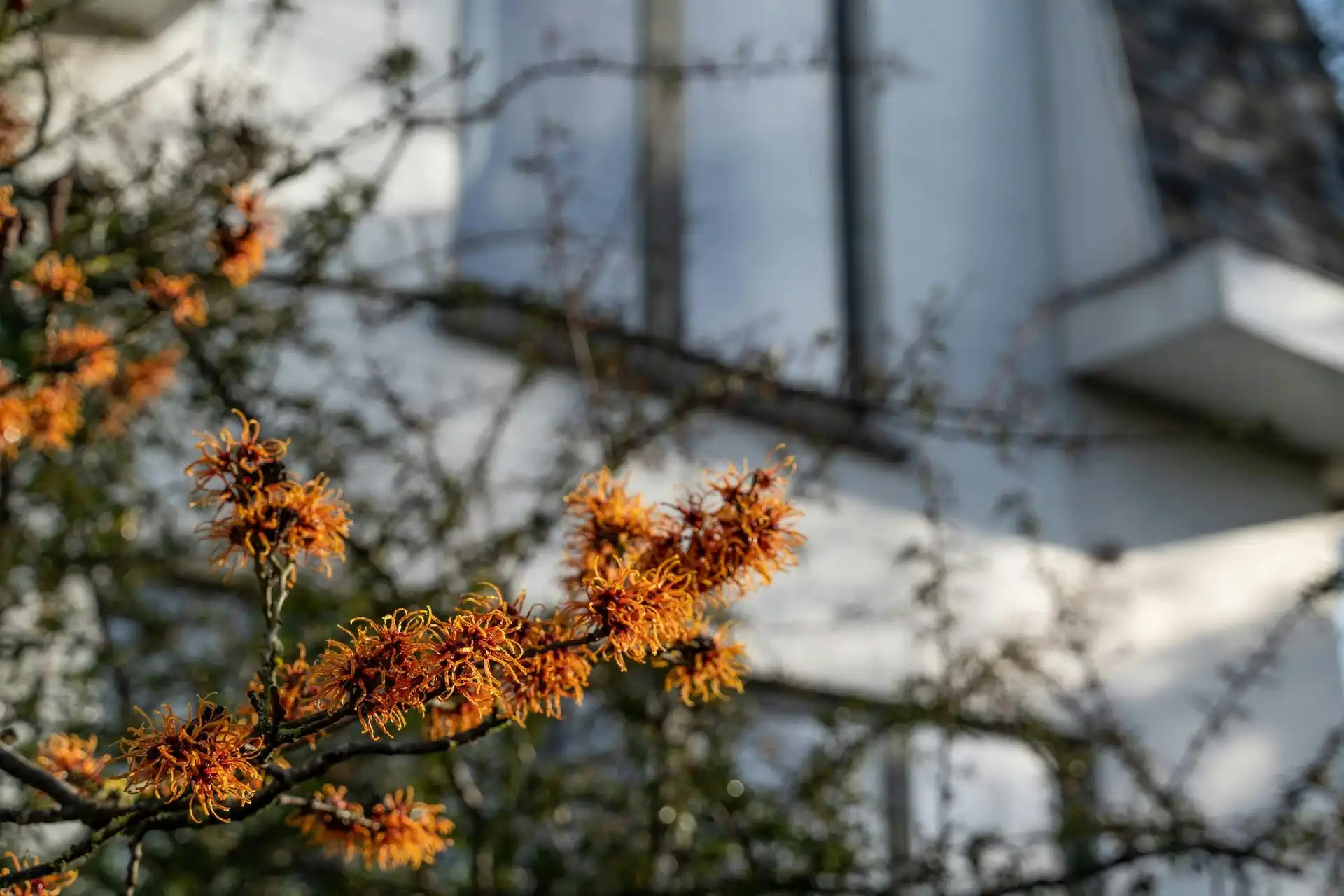 Karaktervolle architectenvilla op uitzonderlijk domein in Diepenbeek foto 18