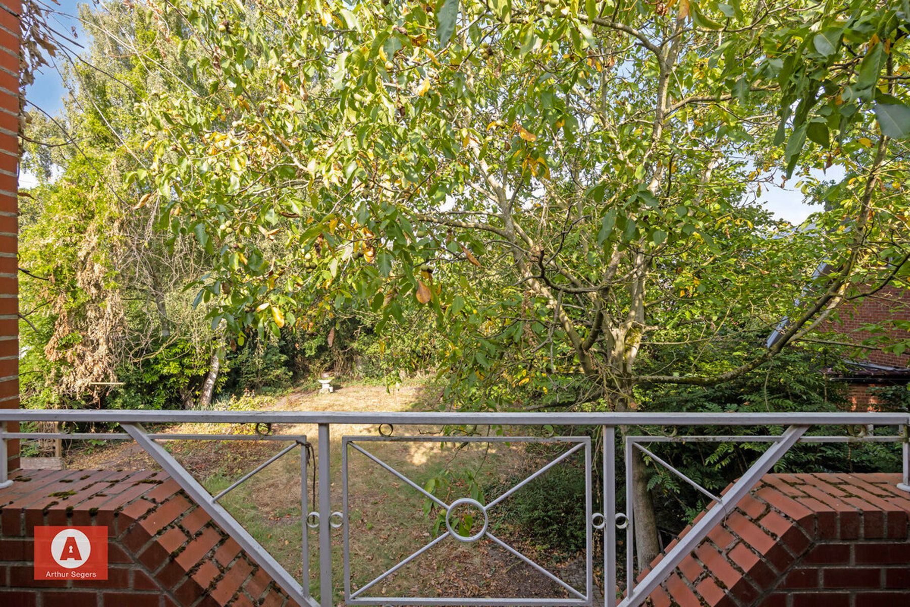 Projectgrond in hartje Buggenhout met straatbreedte van 20m foto 24