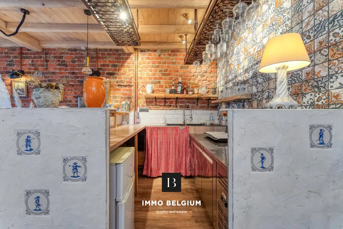 Gerenoveerde eigendom in de Concessie foto 5