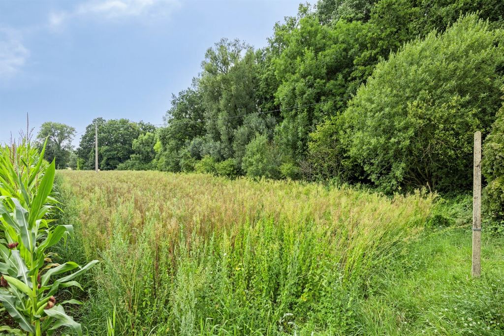 Op te frissen vakantiewoning te Bekkevoort!  foto 12