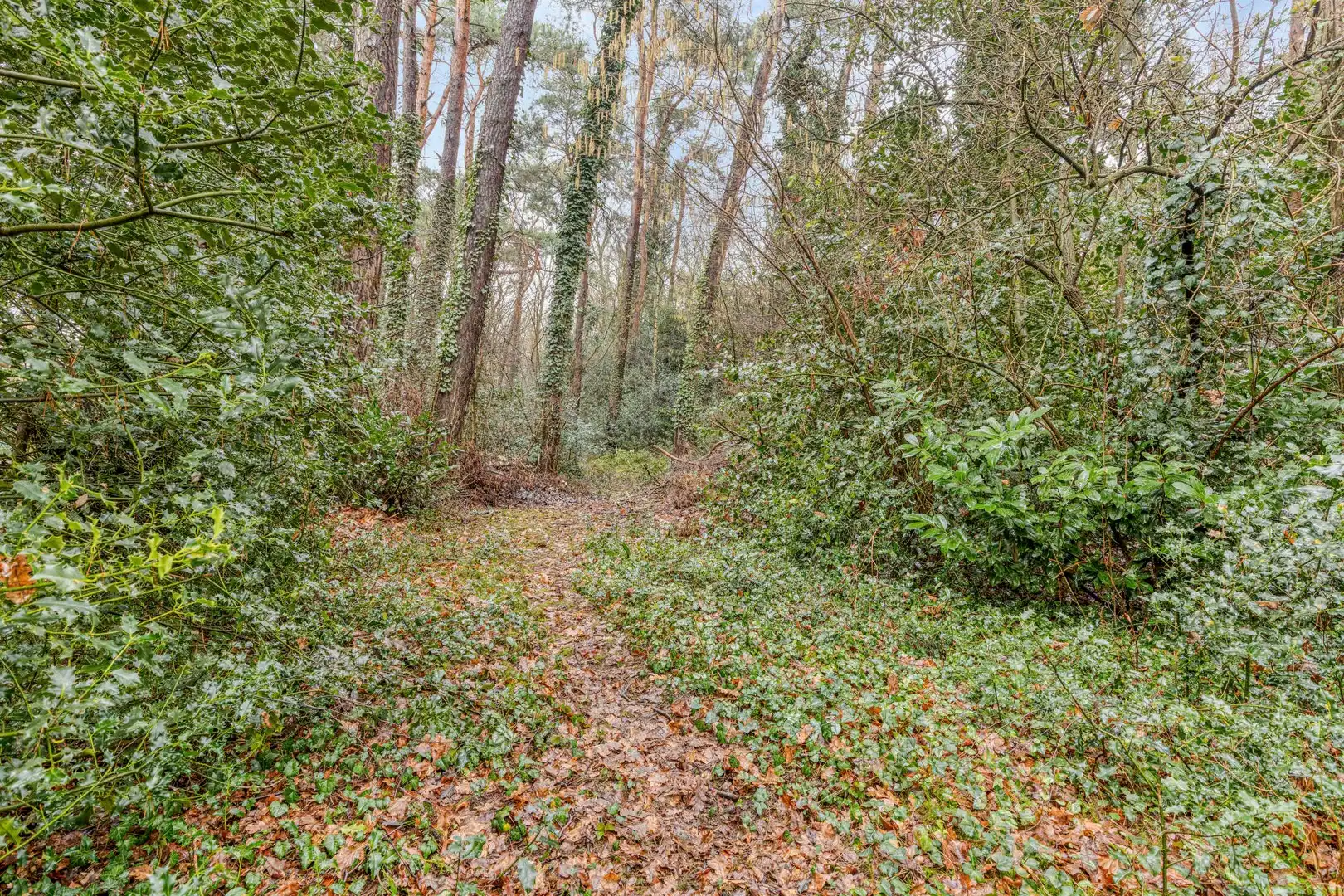 Genkerweg 74, 3690 Zutendaal foto 23