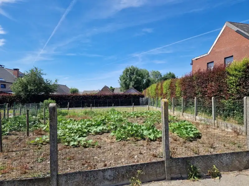Grond te koop Boekentstraat 44 - 9450 Haaltert