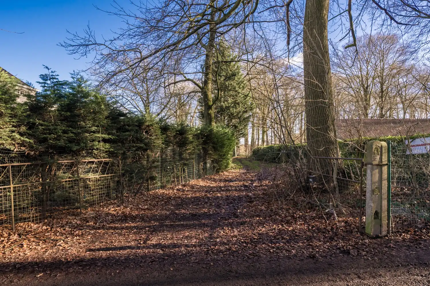 Exclusieve bouwgrond aan de Lembeekse Bossen! foto 5