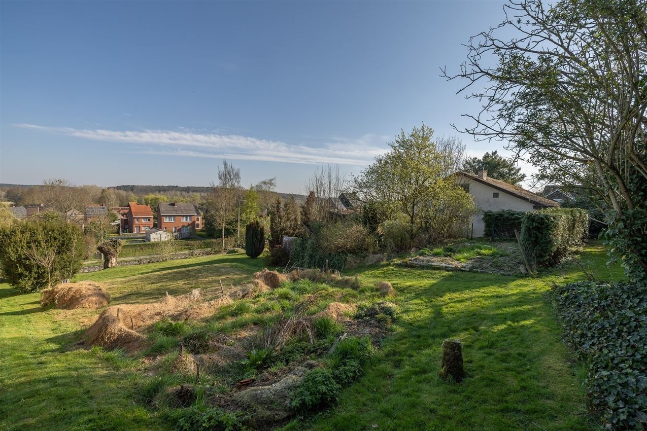 Uniek perceel, groot tuindeel zuidwest, klein weiland op top heuvel foto 6