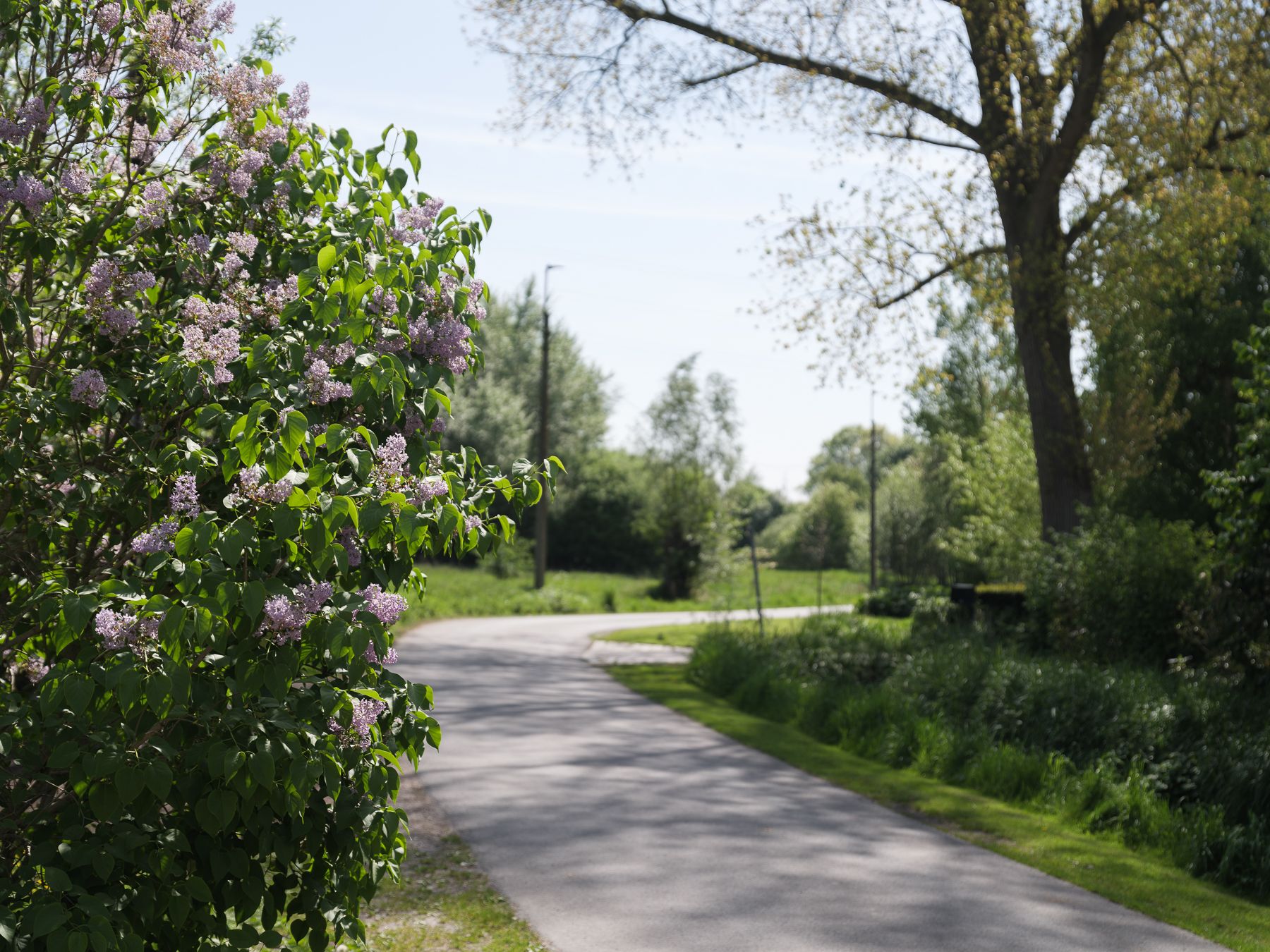 Charmante woning met zonnige tuin in het groene Drongen foto 25