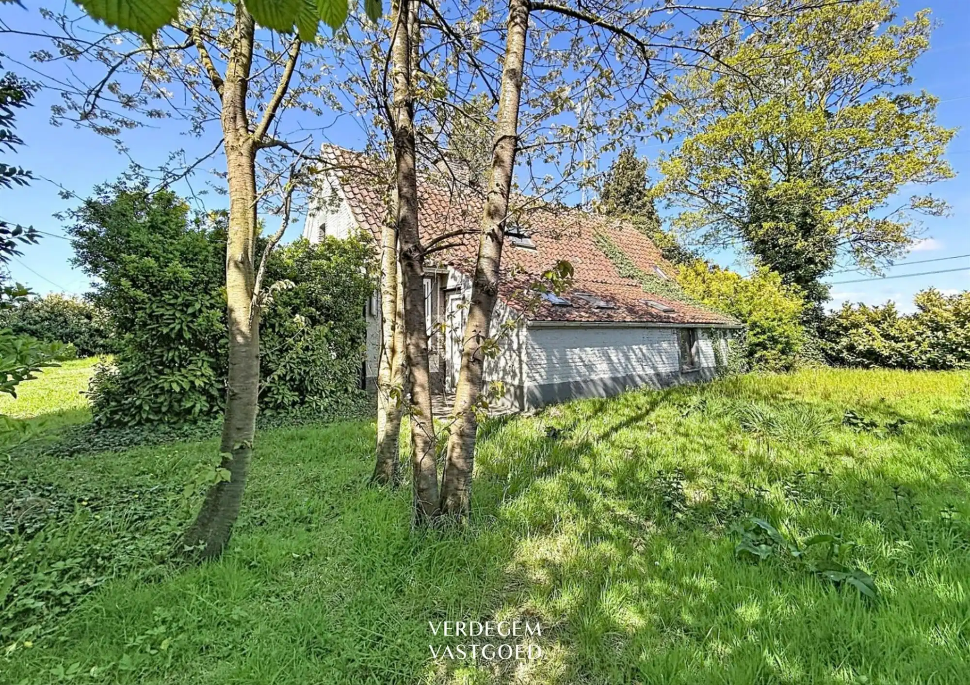 Te renoveren hoeve met schuur op een terrein van 1.634m² foto 16