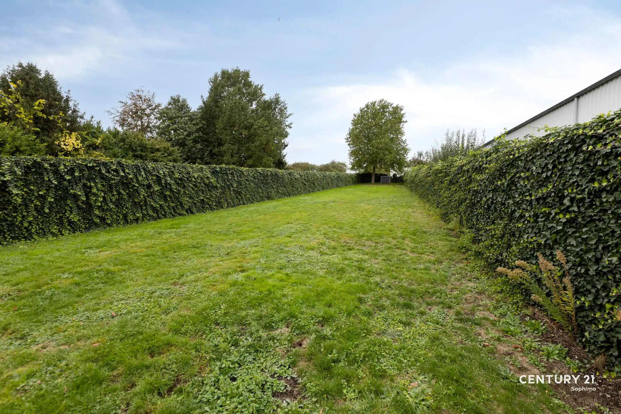 Instapklare woning met vier slaapkamers op perceel van 11a22 foto 31