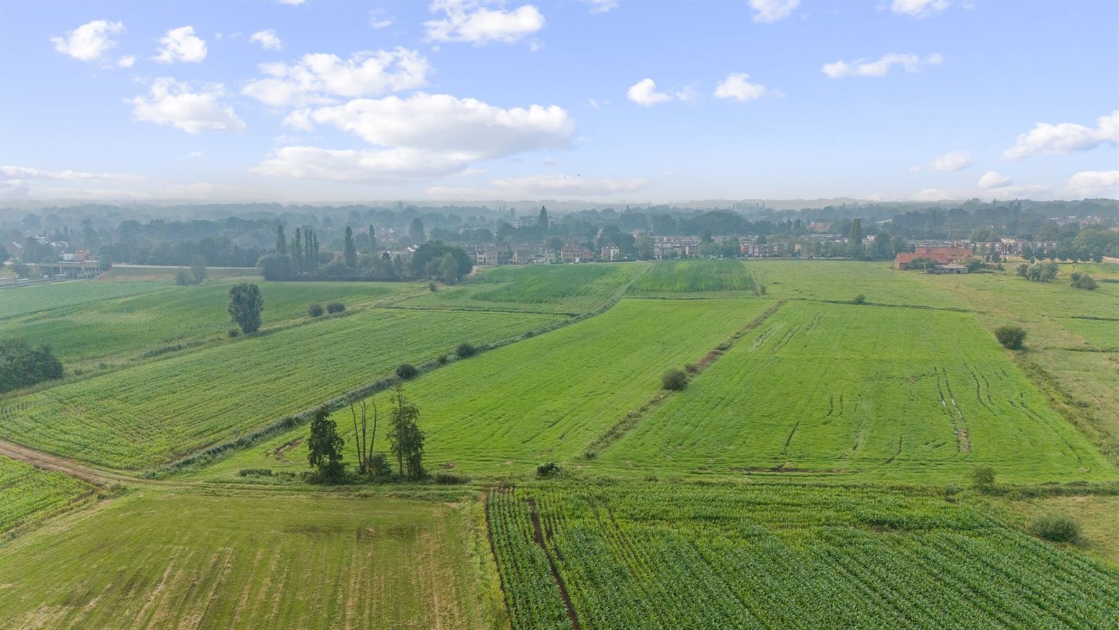 Boerderij met iets meer dan 38ha grond foto 14